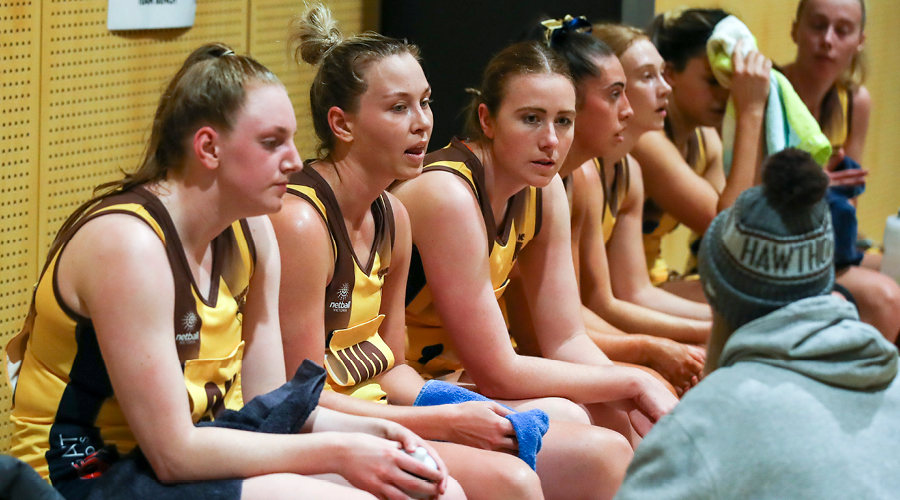 Hawks Ready To Swoop Netball Vic